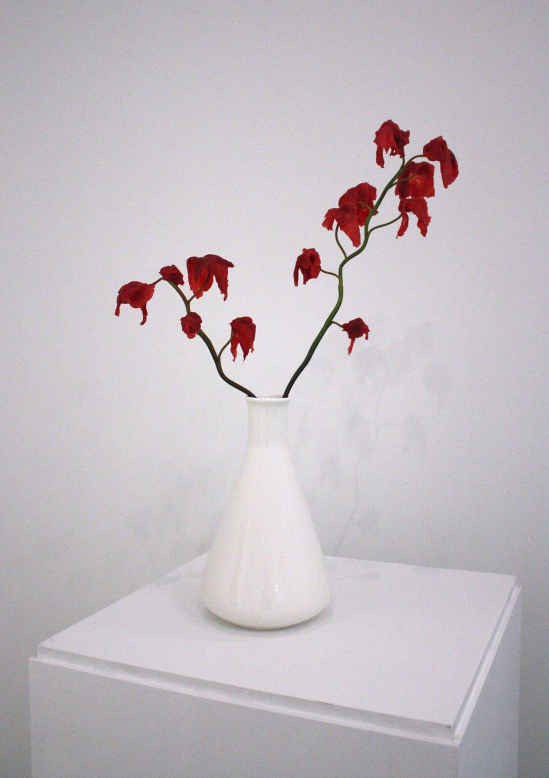 Marco Evaristti, All Good Things Must Come to an End, 2011-12