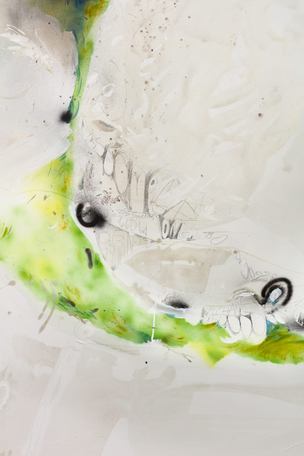 Suzanne McClelland, PASSAGES: 4 Rivers- The Yangtze in Greens, 2021