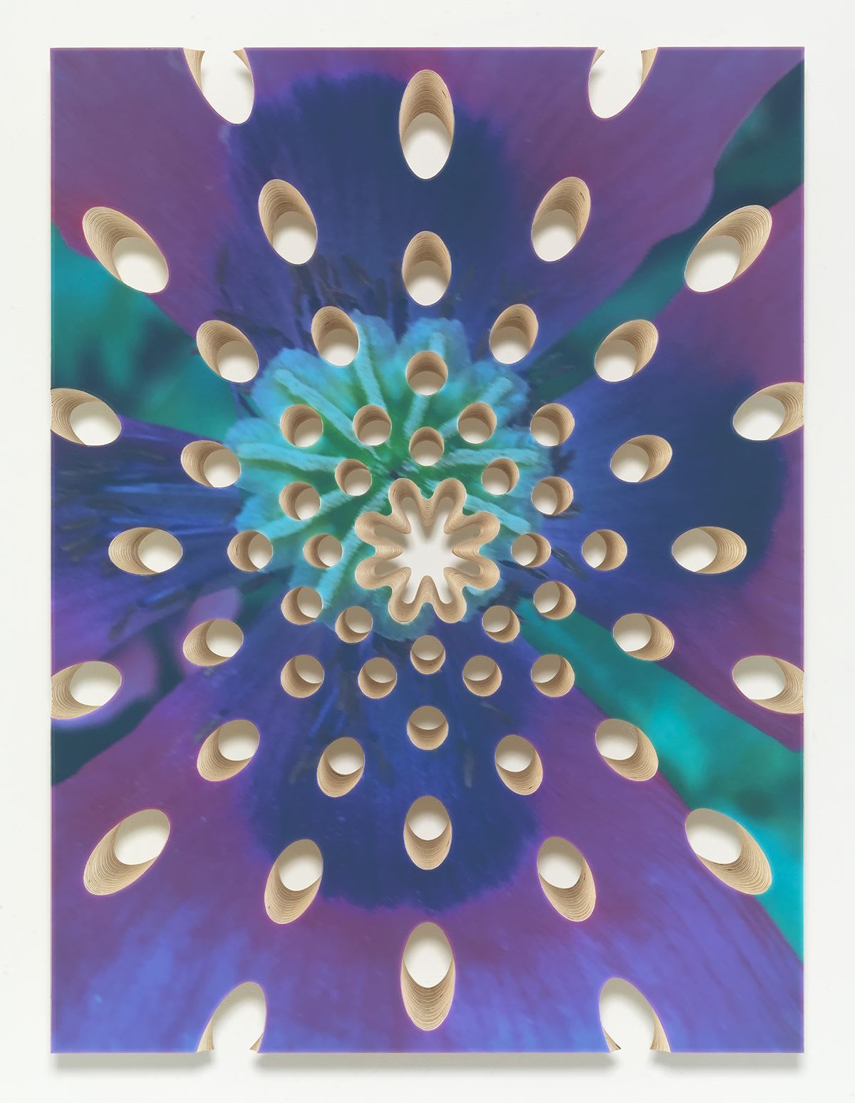 Donald Moffett, Lot 082816 (poppy), 2016