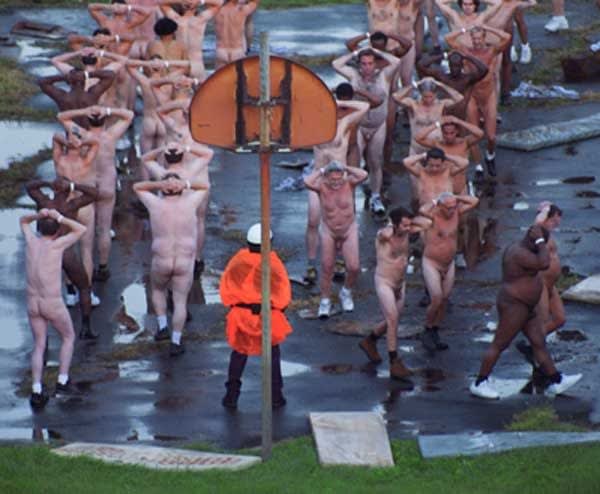 Kon Trubkovich, A Thriller is a Thriller is a Thriller, 2007-2008
