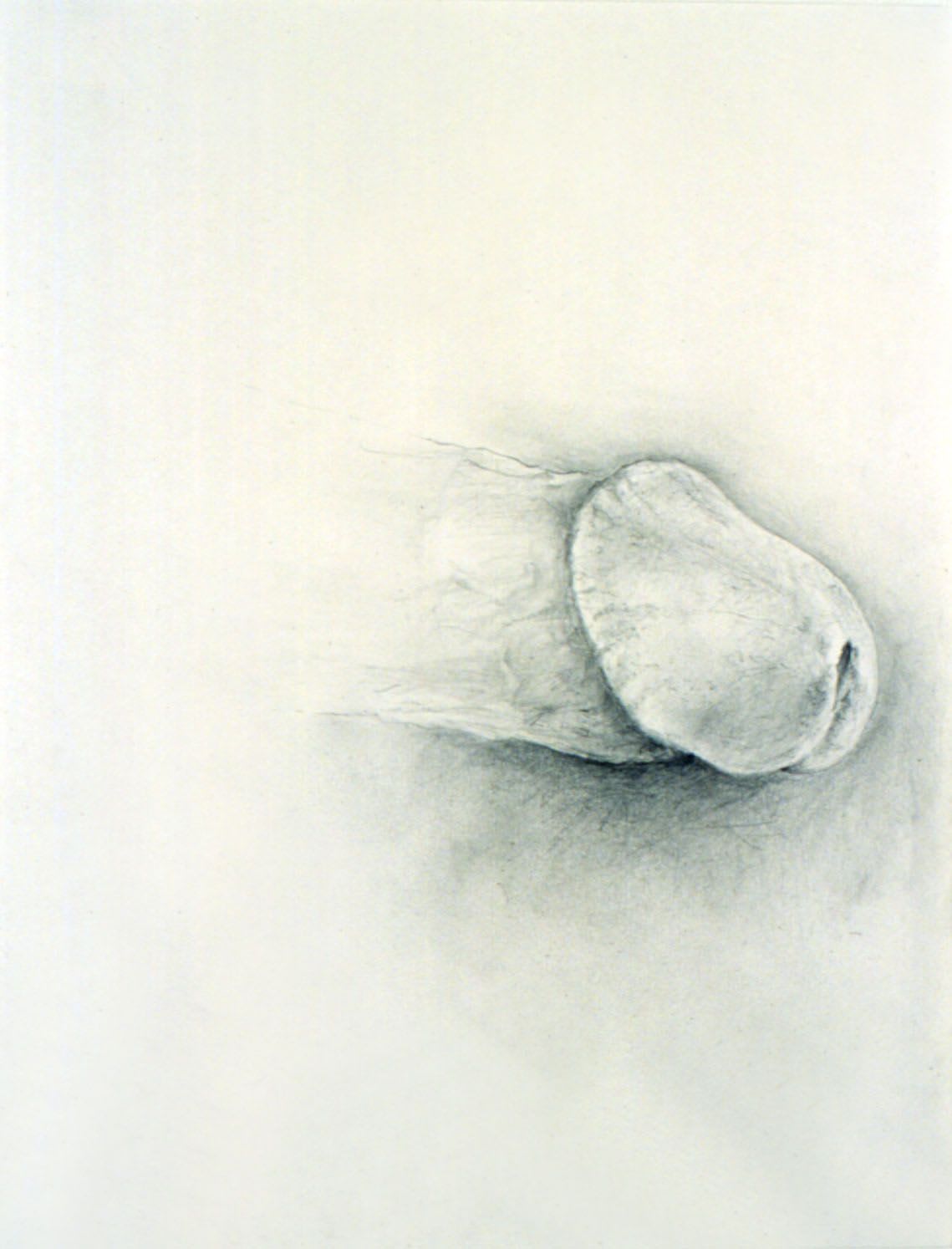 Donald Moffett, Model #5, 2002