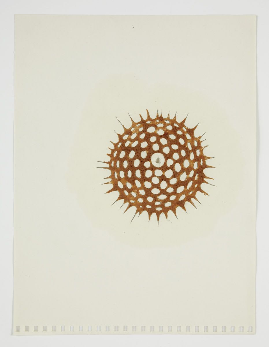 Robert Beck & Donald Moffett, Range, 1997