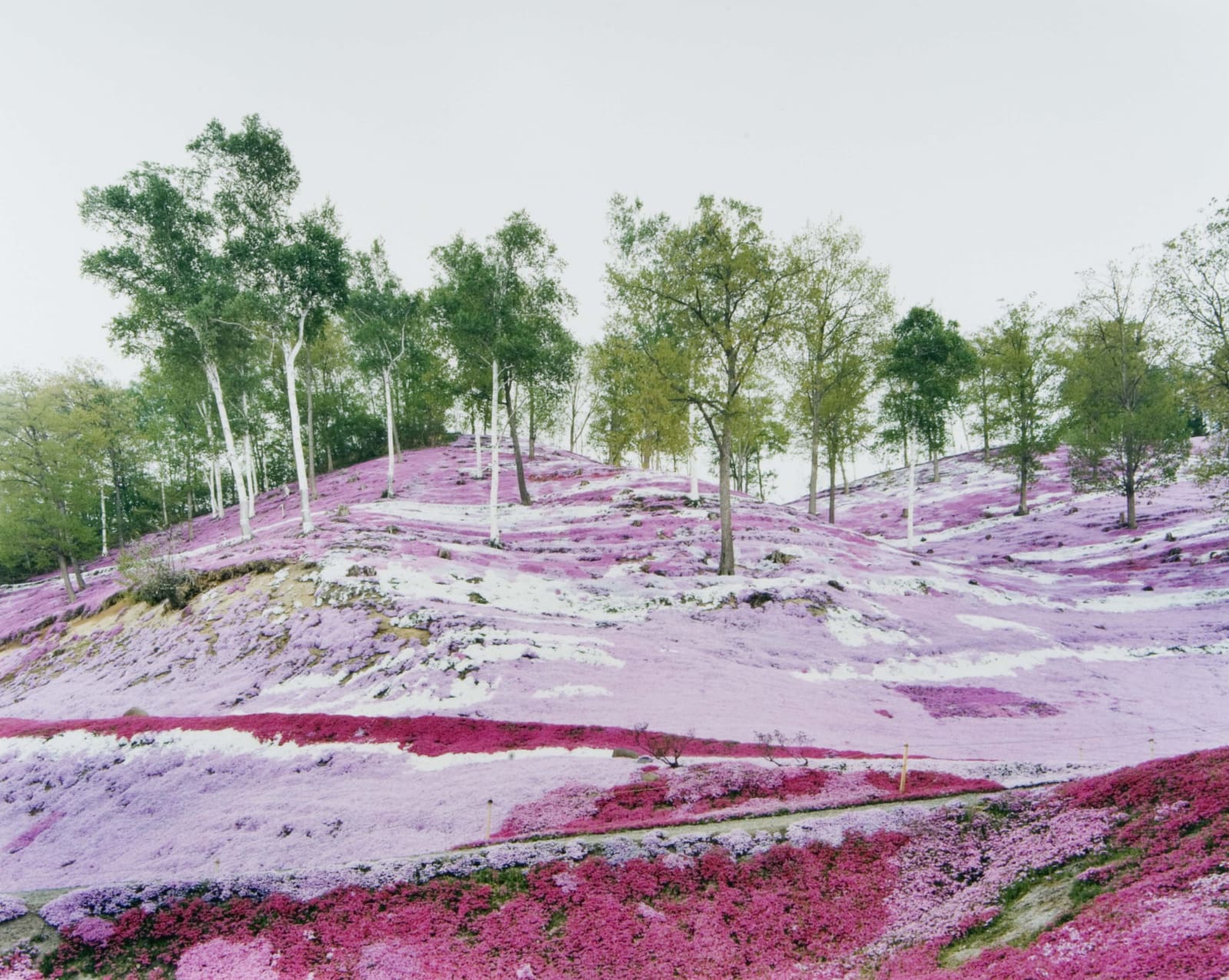 Thomas Flechtner, Site 13, 2002-2006