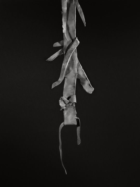 Erin Shirreff, No title (no. 2), 2009/2012