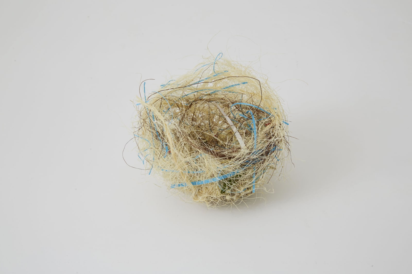 Björn Braun, Untitled (zebra finch nest), 2015
