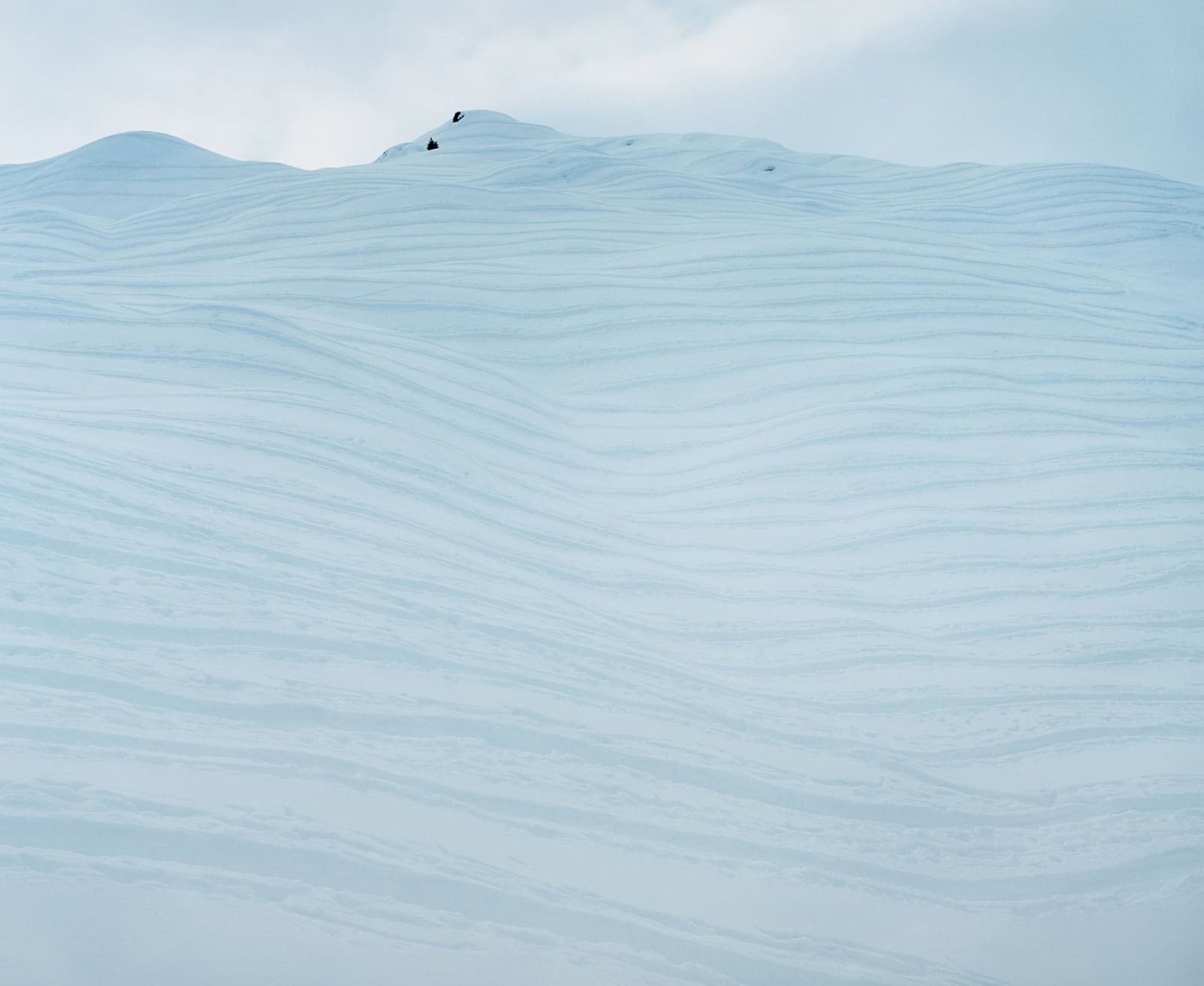 Thomas Flechtner, Glaspass (Walks #10), 2001