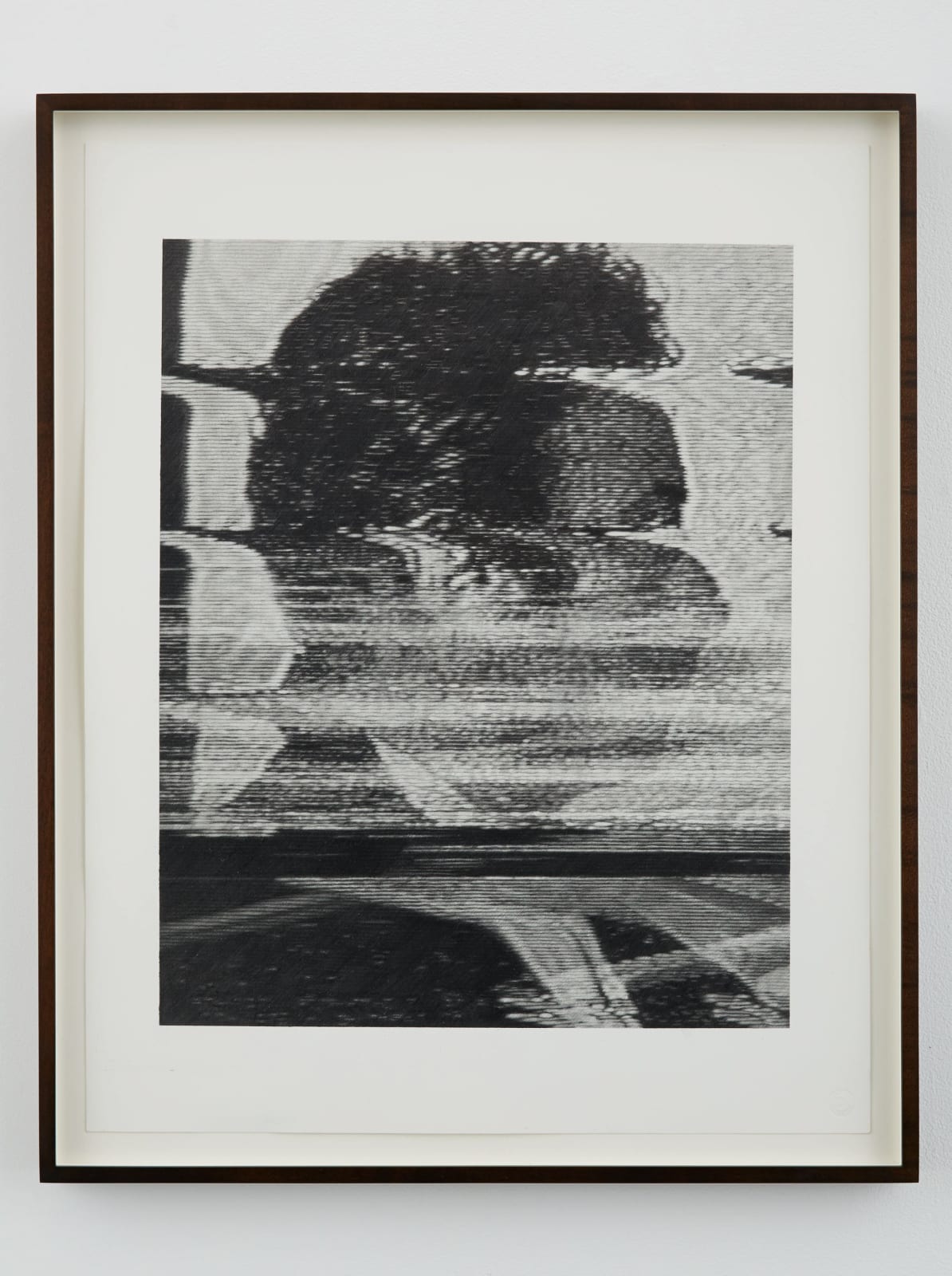 Kon Trubkovich, Untitled (Lenny), 2014