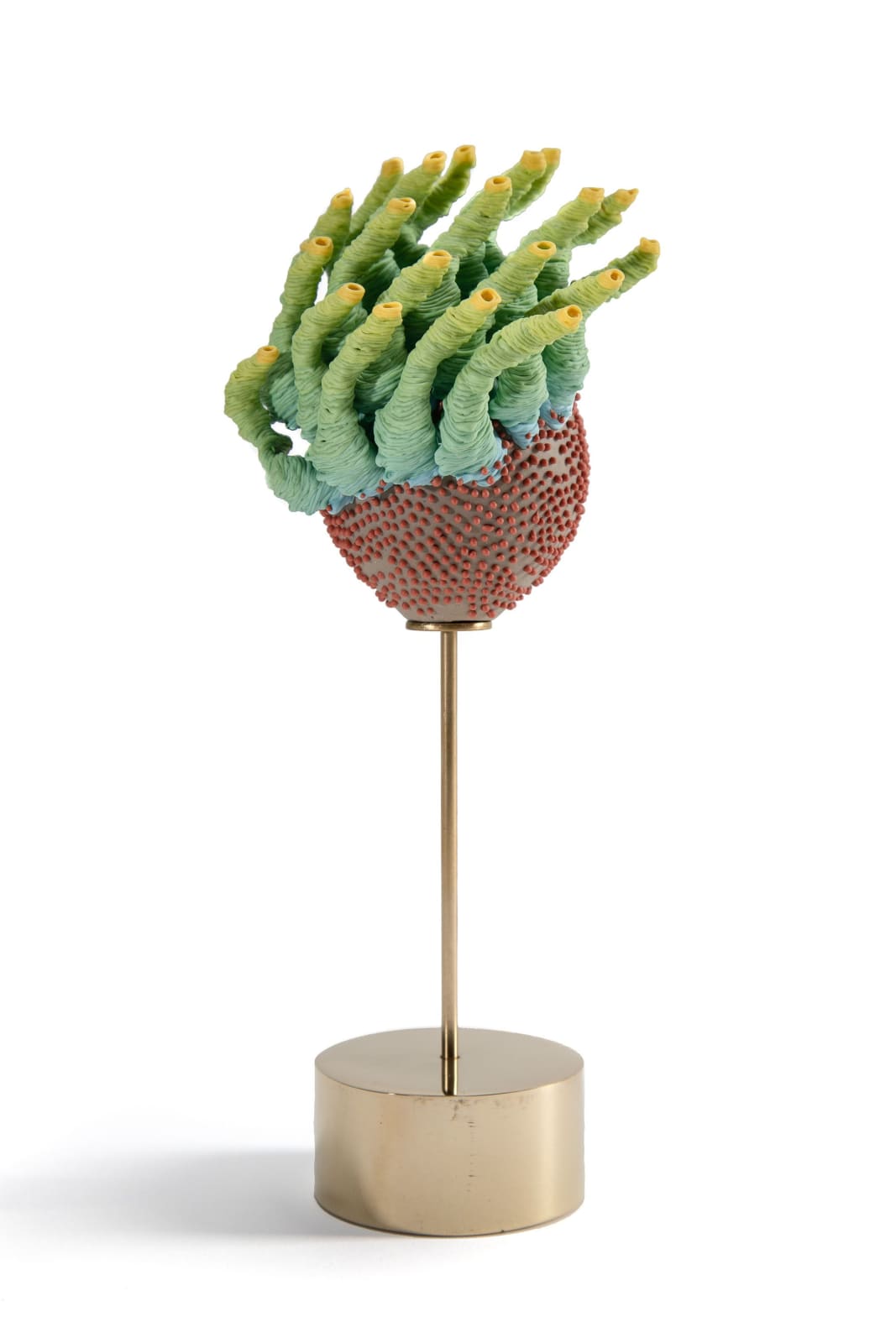 The Haas Brothers, Keep Your Friends Close and Your Anemones Closer, 2018