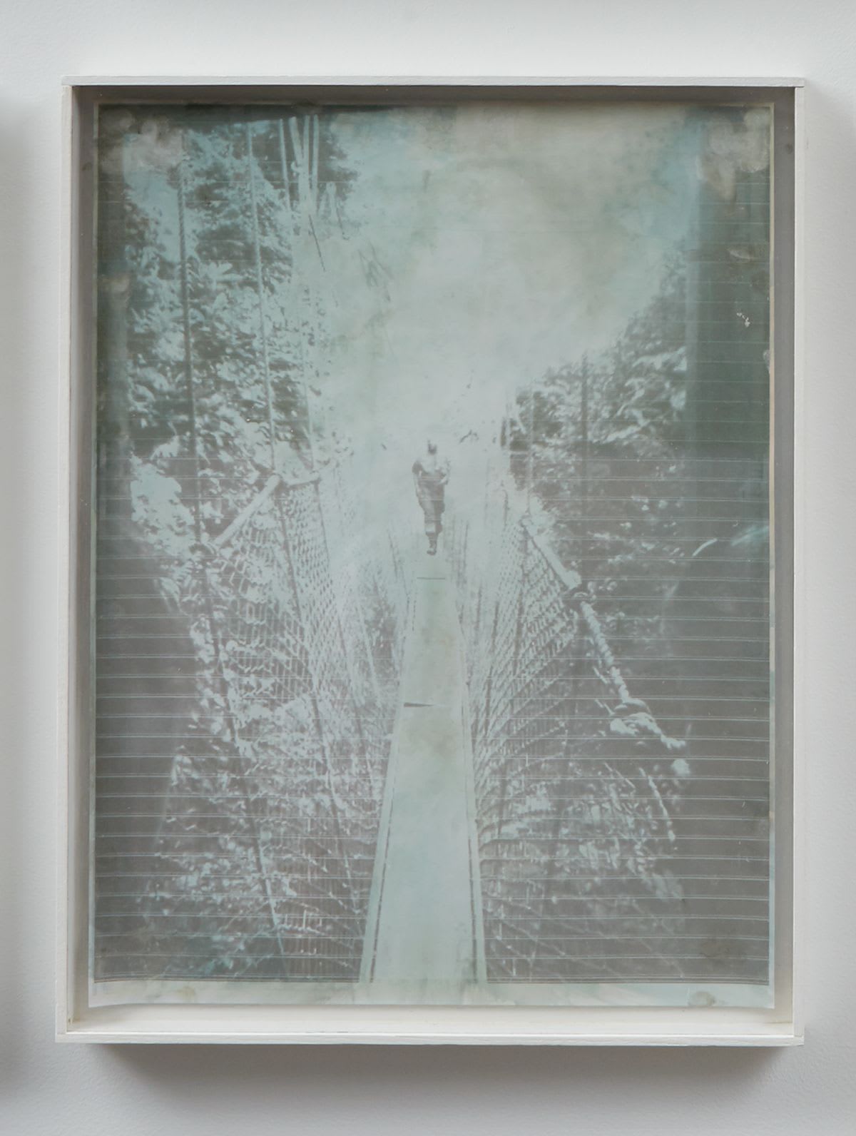 Josh Tonsfeldt, Andrew (Rope Bridge), 2013