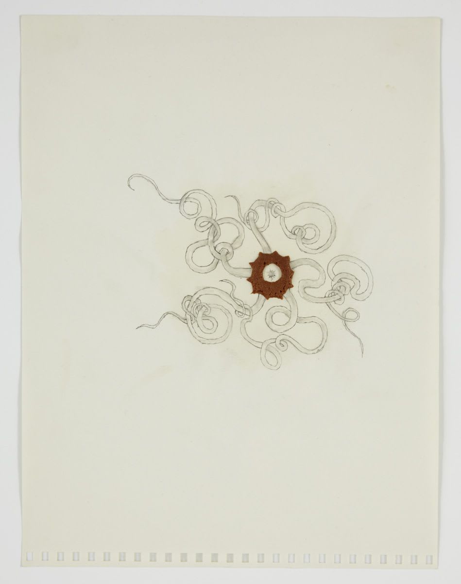 Robert Beck & Donald Moffett, Range, 1997