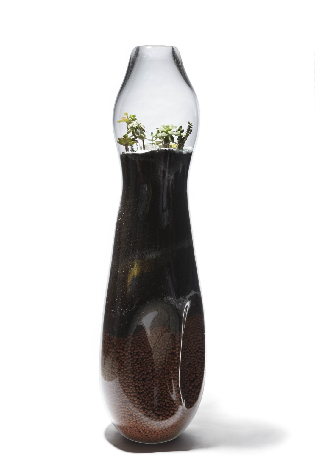Paula Hayes, Giant Terrarium, 2009