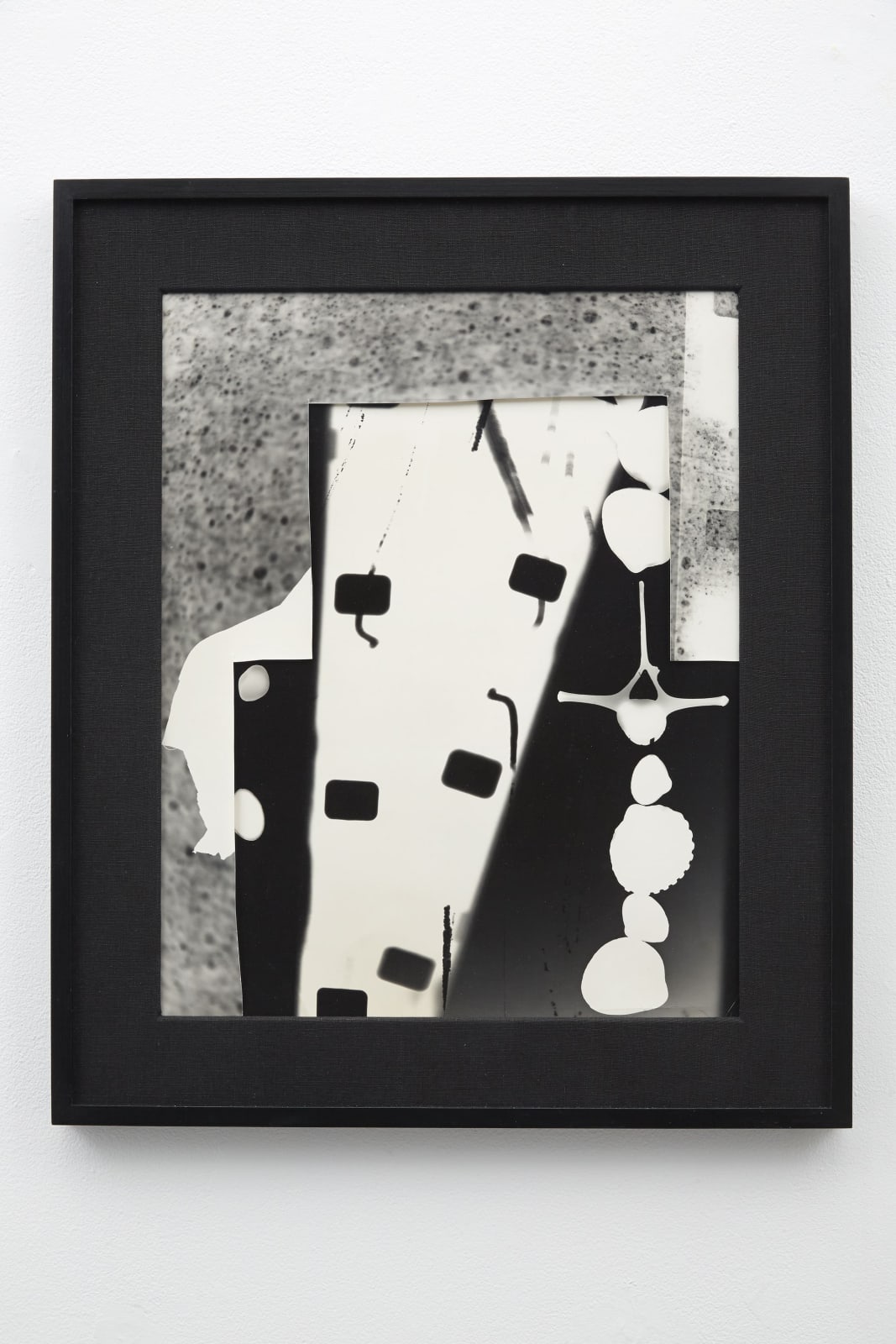 Amy Granat, White Shells, 2010