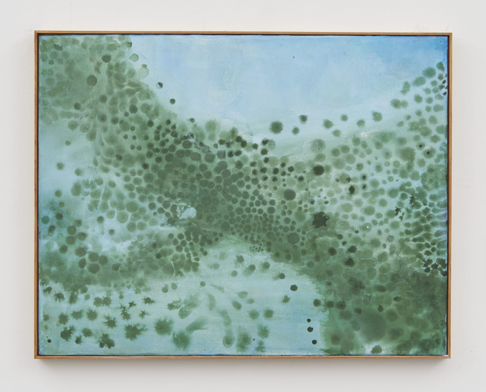 Thiago Rocha Pitta, seascape with cyanobacteria, 2017