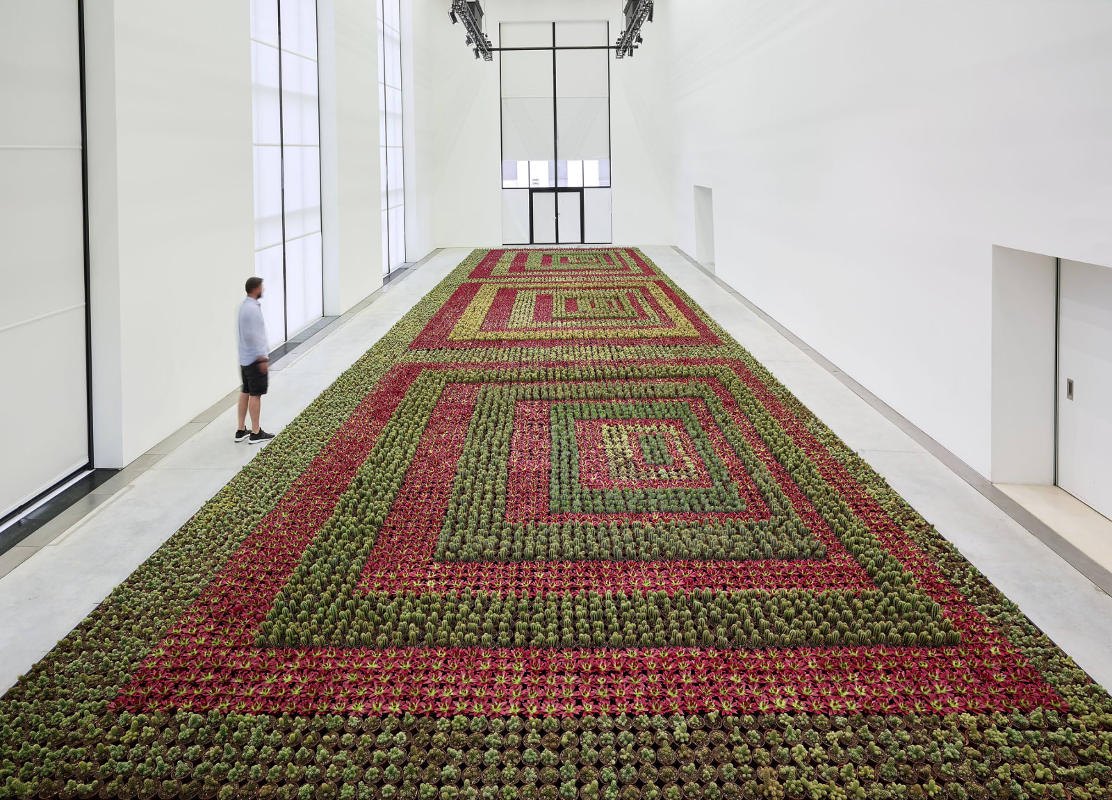 Ghada Amer, Cactus Painting, 1998-2008