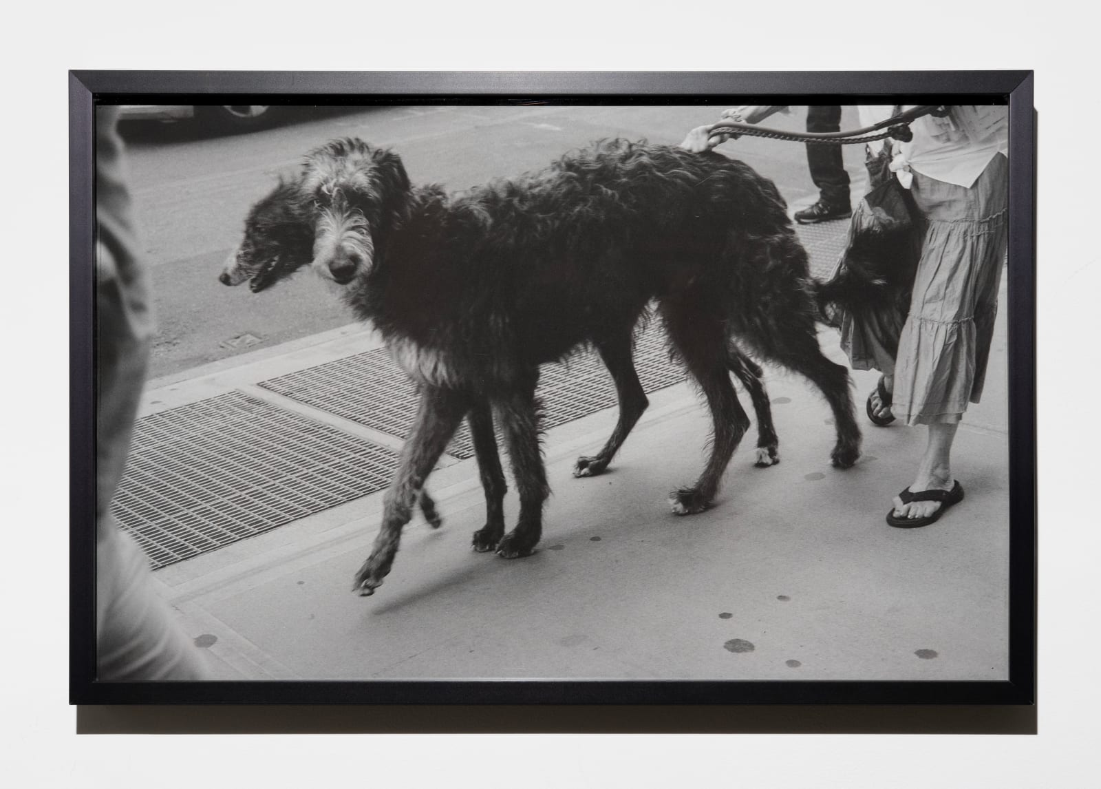 Bill Ellis, Untitled, 2019