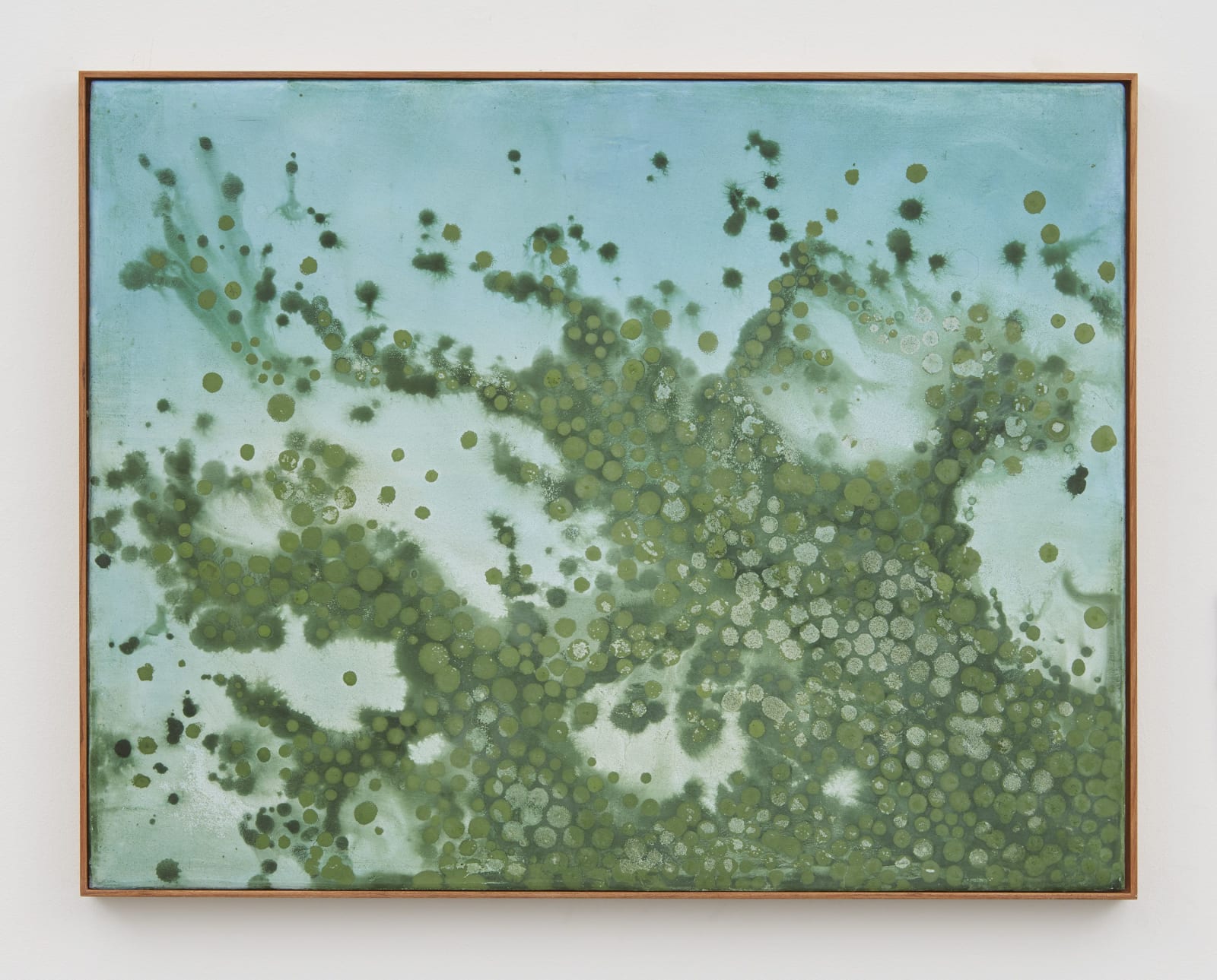 Thiago Rocha Pitta, seascape with cyanobacteria, 2017