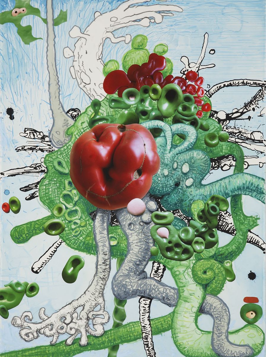 Alexander Ross, Untitled, 2008
