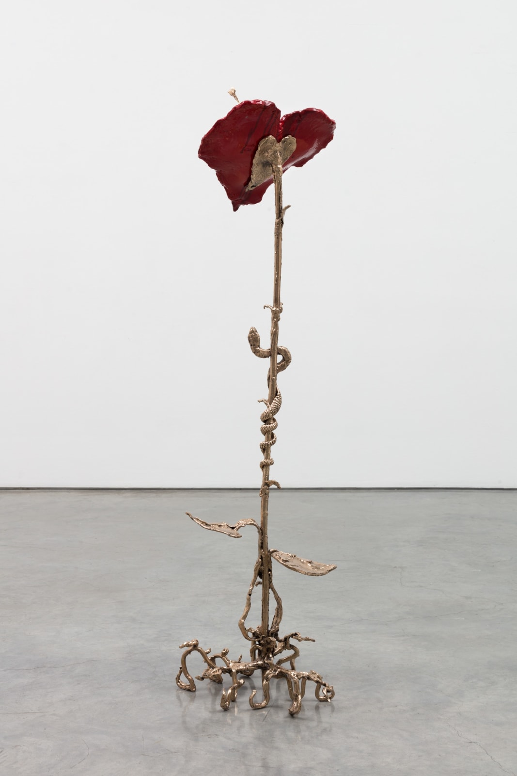 Apollinaria Broche, Killing me softly, 2023