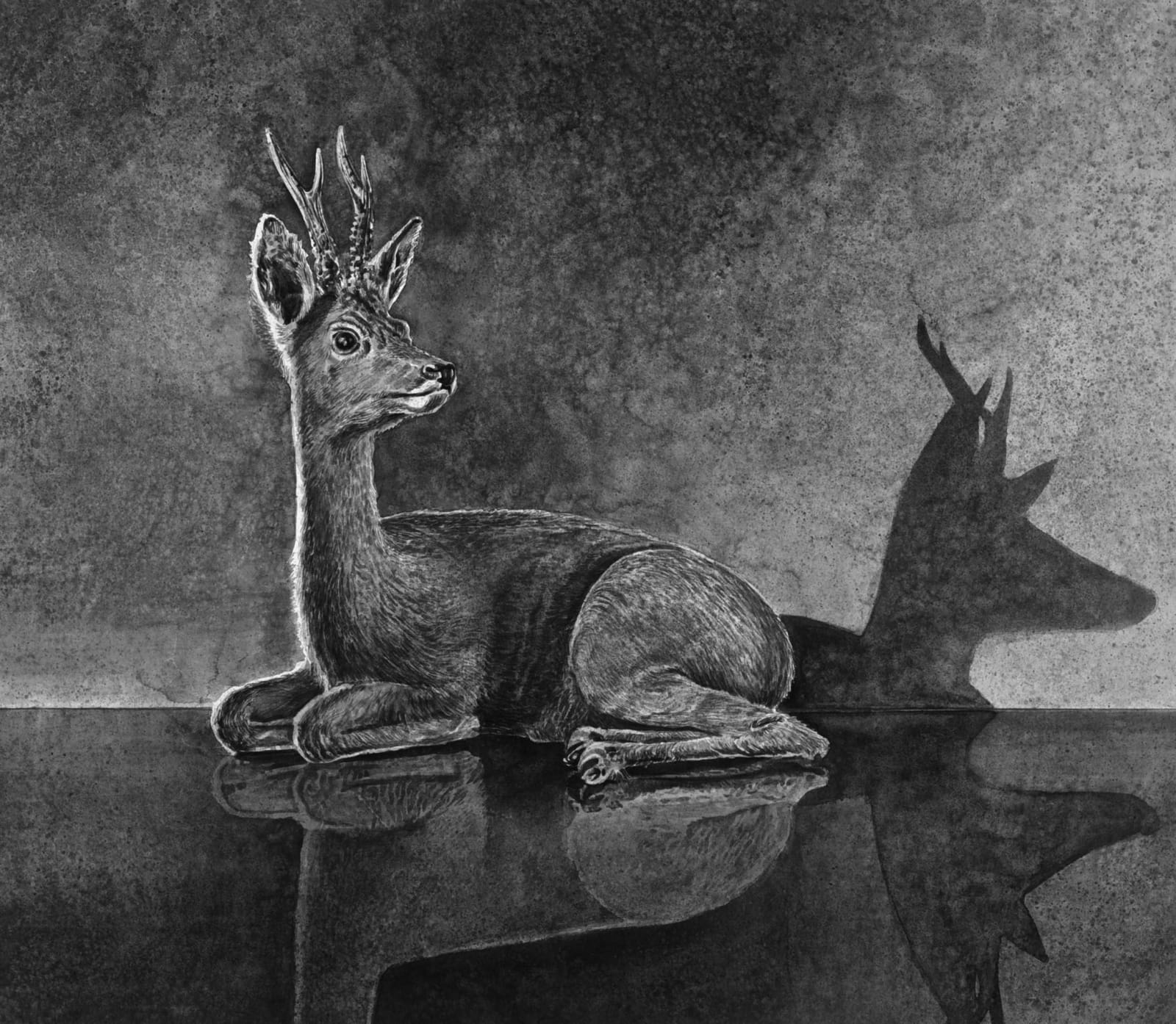 Hans Op de Beeck, Deer, 2010