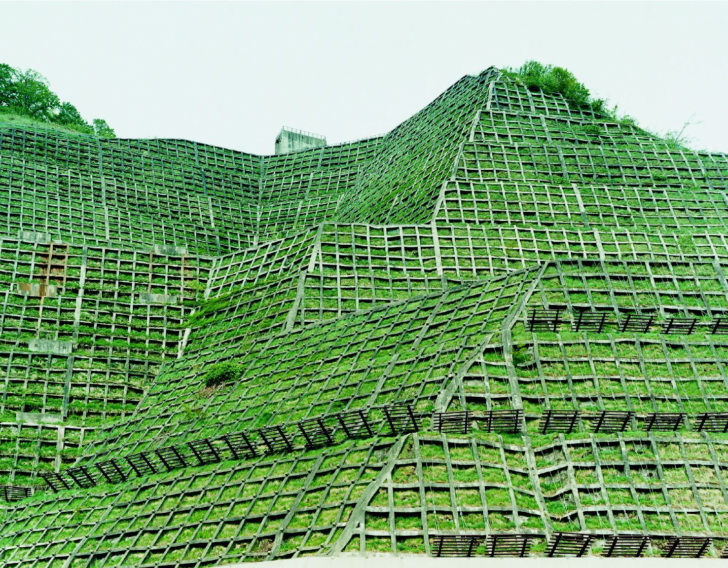Thomas Flechtner, Site 5, 2002-2006