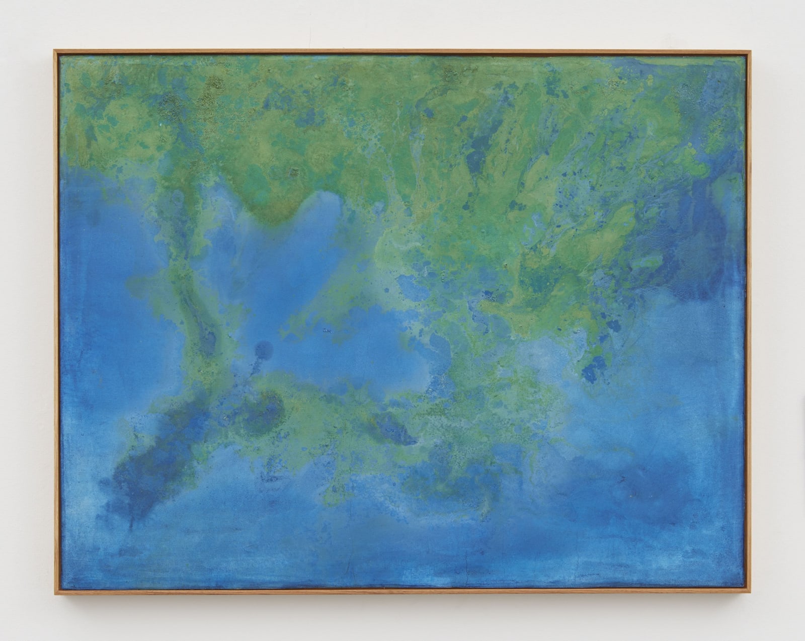 Thiago Rocha Pitta, seascape with cyanobacteria, 2017