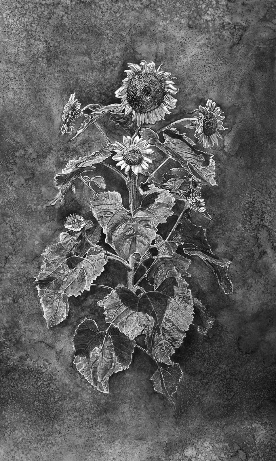 Hans Op de Beeck, Sunflowers, 2010
