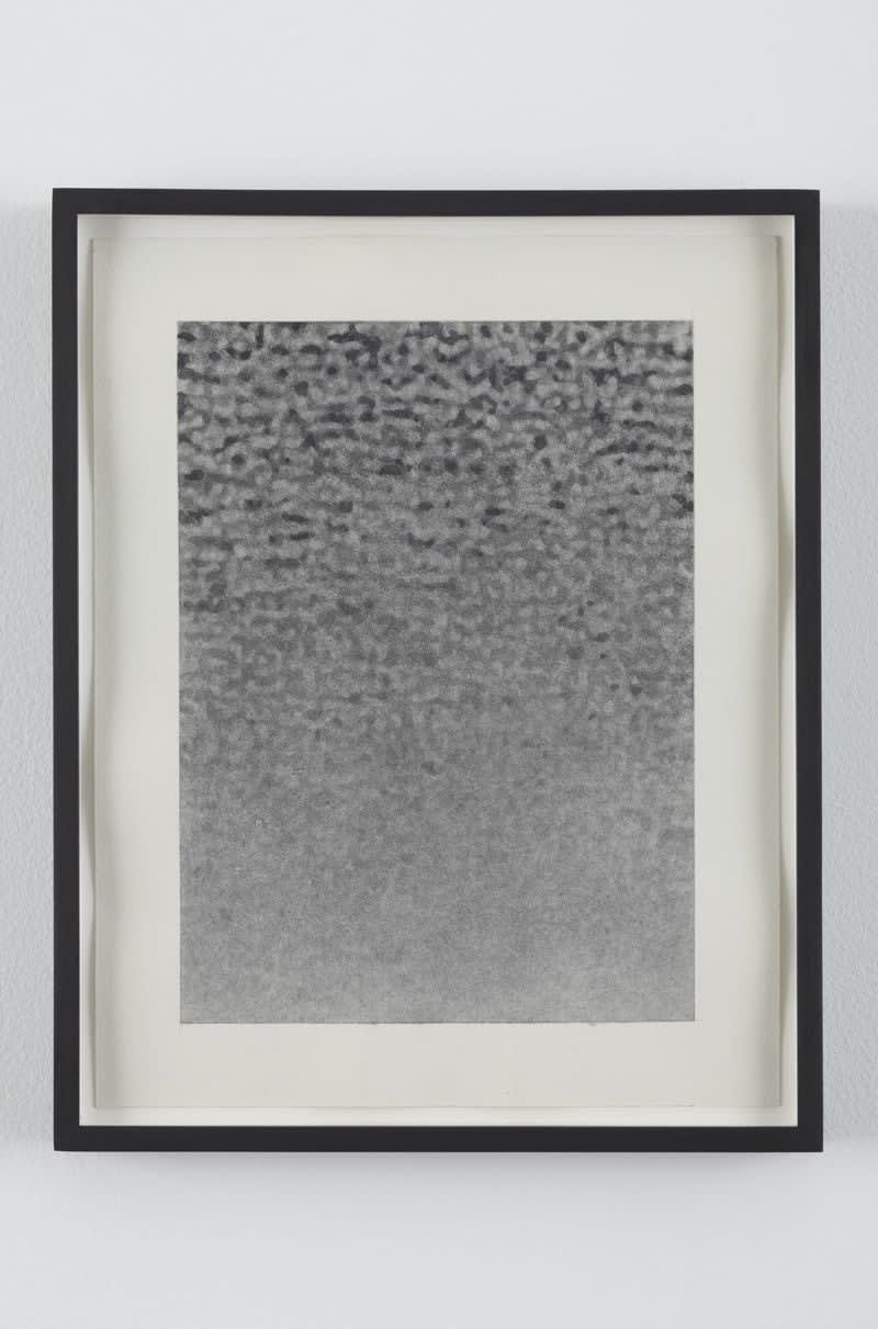 Kon Trubkovich, No Signal 2, 2010