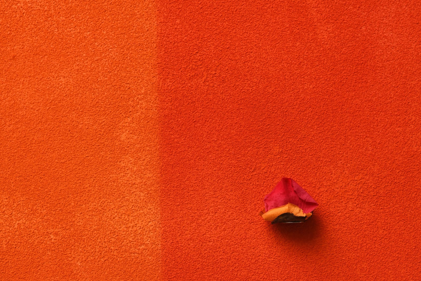Pier Paolo Calzolari, Untitled, 2021