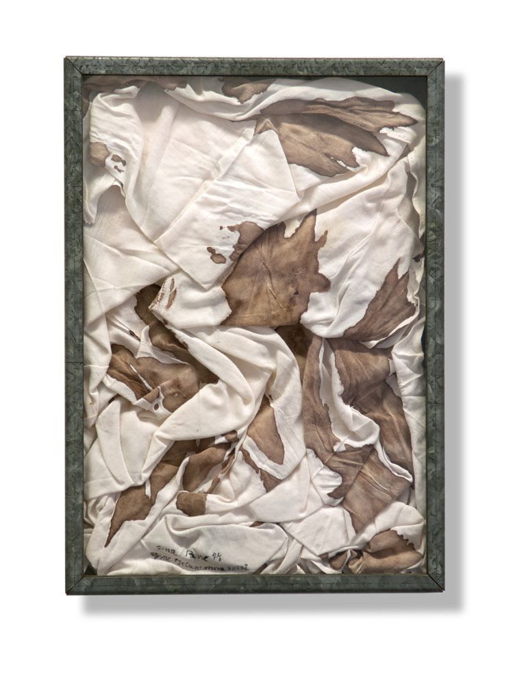 Gina Pane, Action relic of
