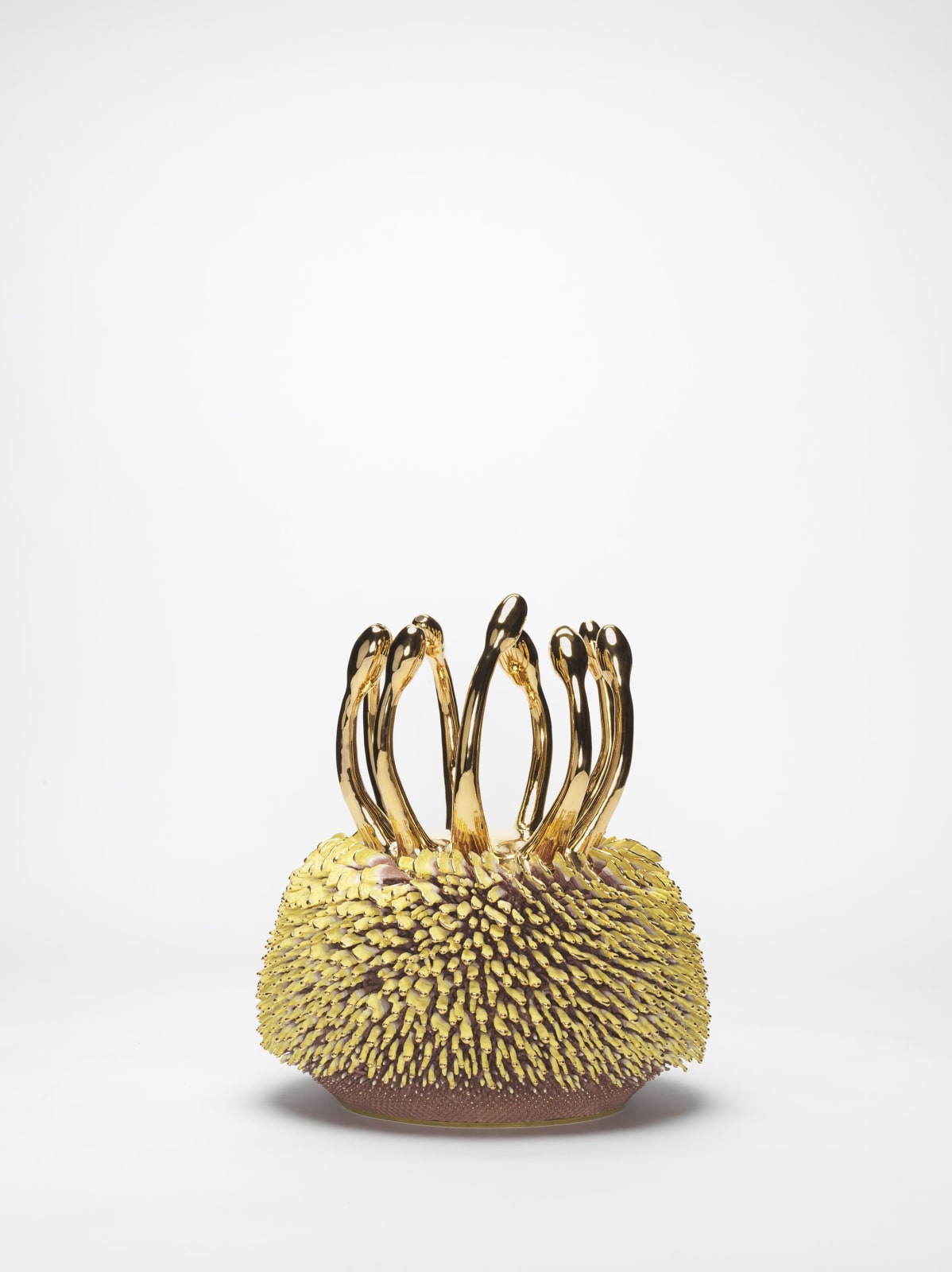 The Haas Brothers, Gold Folks Home, 2019