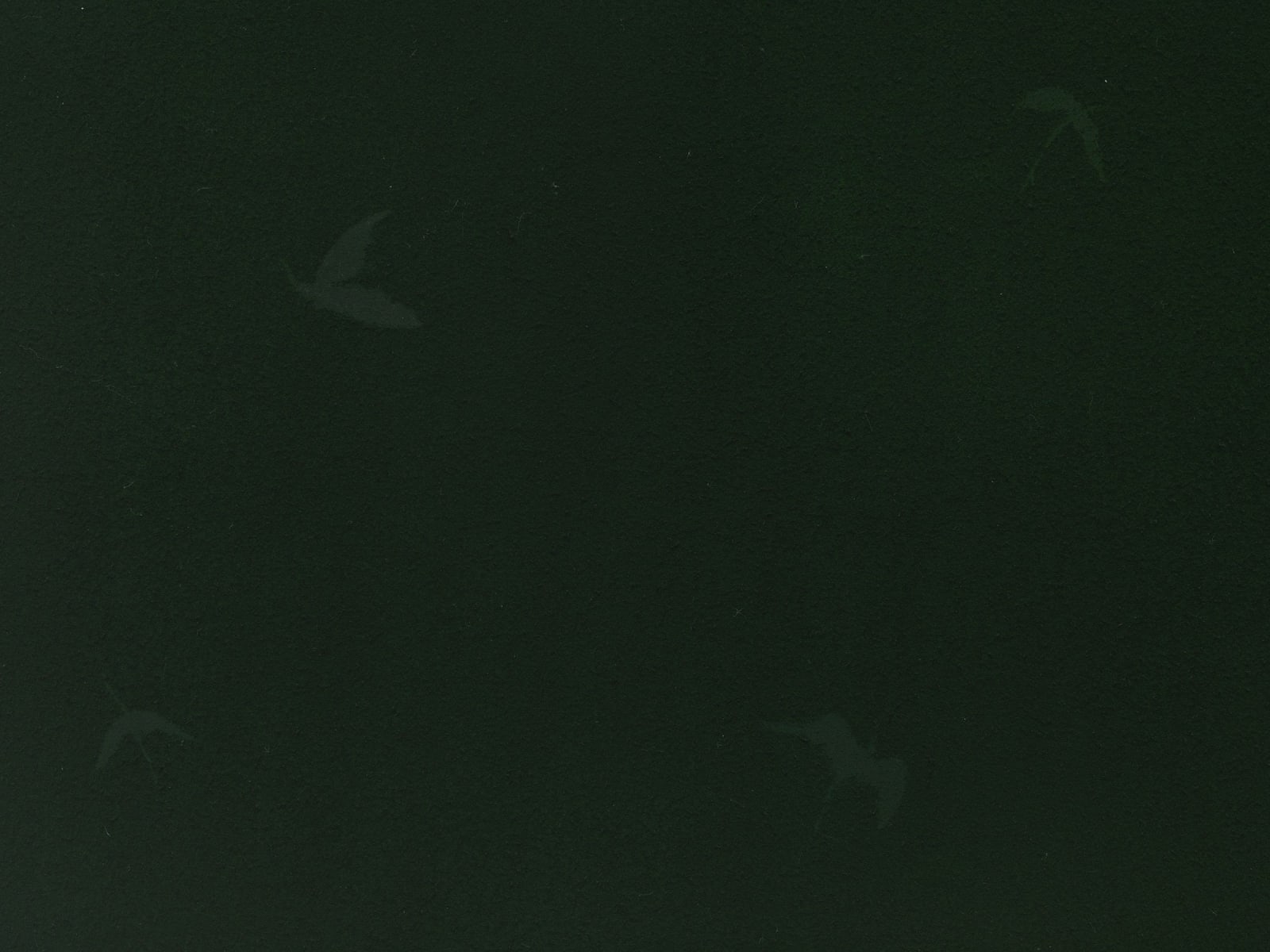 Pier Paolo Calzolari, Untitled, 2015