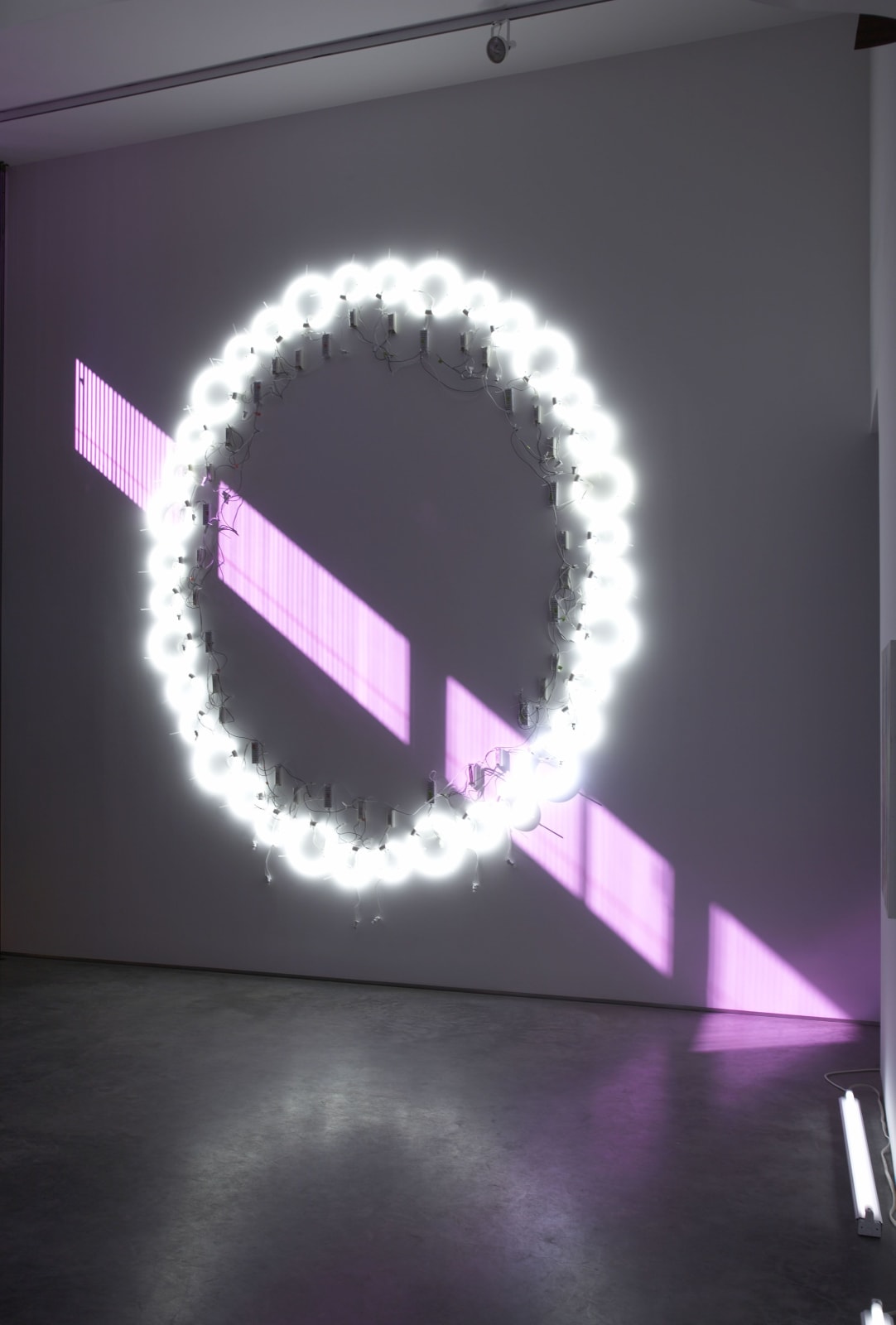 Yuichi Higashionna, Circle Light (Flouorescent Light), 2008-2011