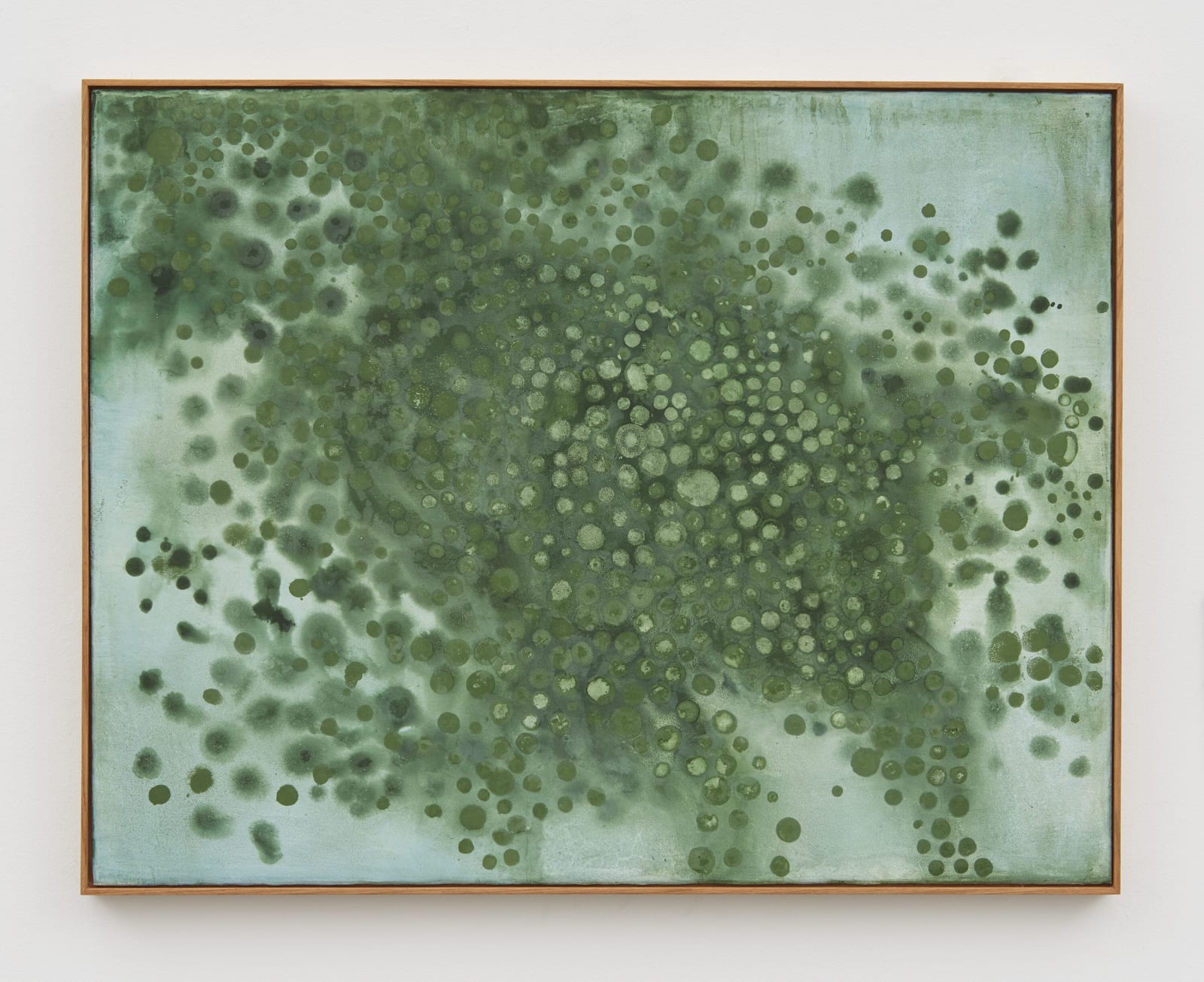 Thiago Rocha Pitta, seascape with cyanobacteria, 2017
