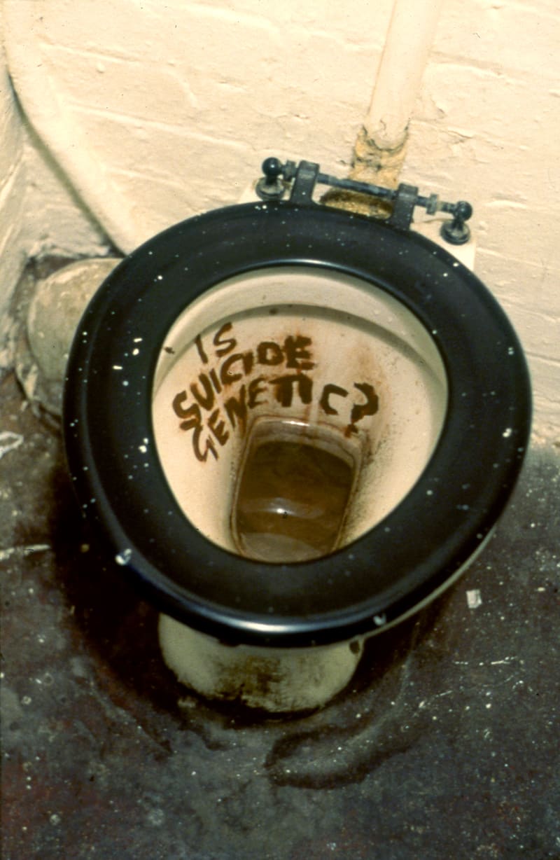 Sarah Lucas, Is Suicide Genetic, 1996