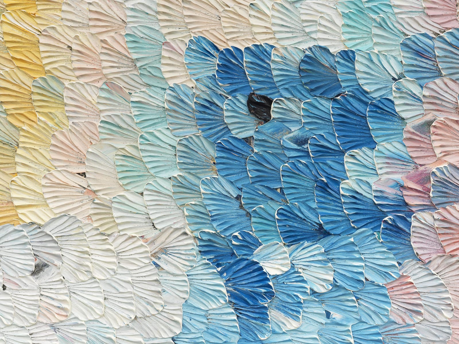 Dashiell Manley, the sweep., 2018
