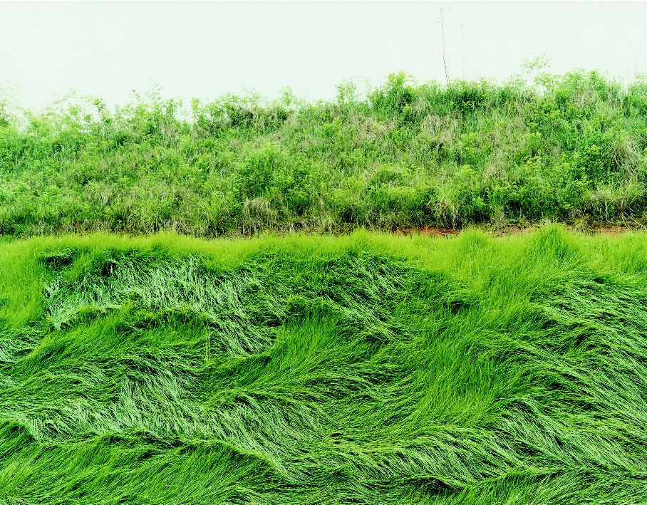 Thomas Flechtner, Site 16, 2002-2006