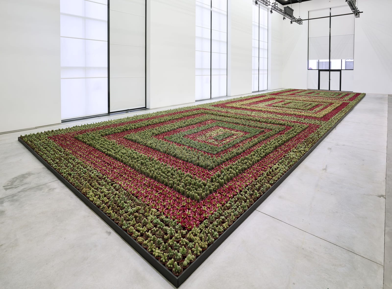 Ghada Amer, Cactus Painting, 1998-2008