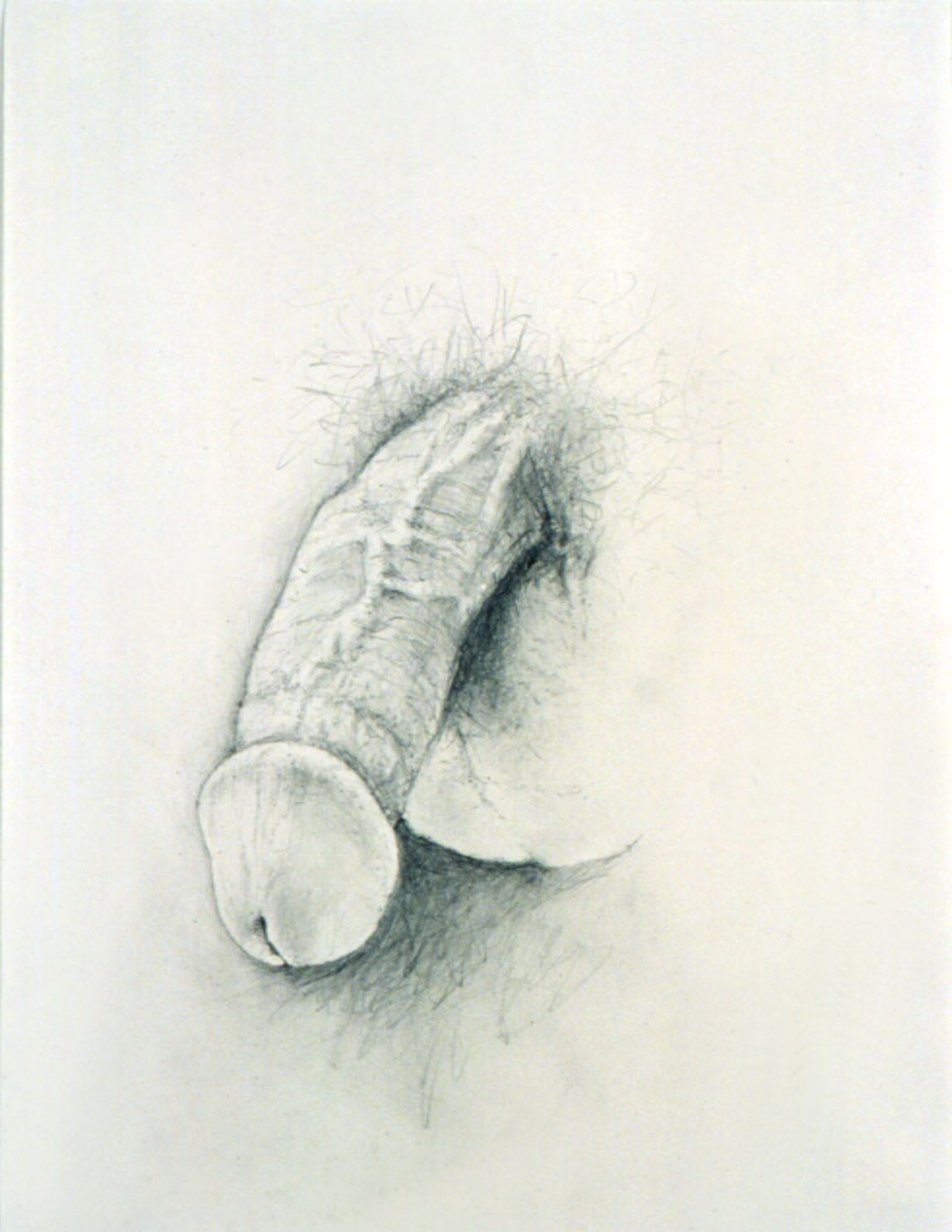 Donald Moffett, Model #4, 2002