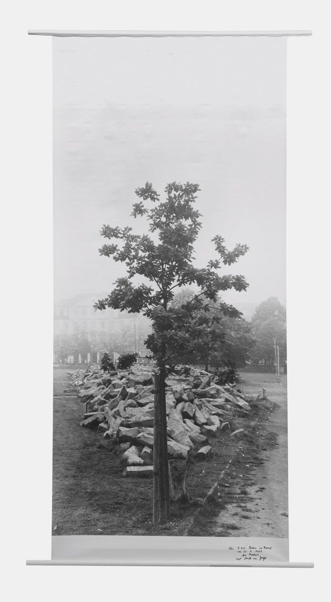 Joseph Beuys, Flag: 7000 Eichen, 7000 Eichen
