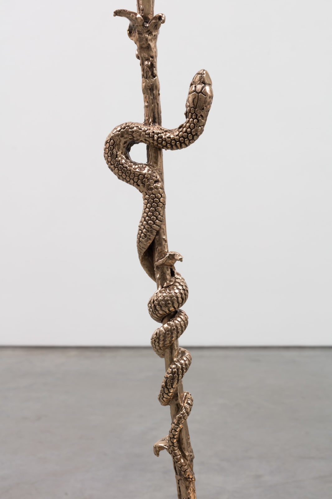 Apollinaria Broche, Killing me softly, 2023