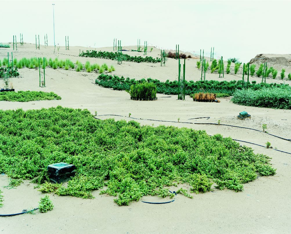 Thomas Flechtner, Site 19, 2002-2006