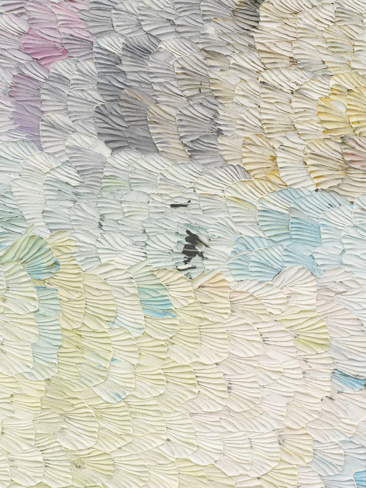 Dashiell Manley, all last season's humor, now., 2018