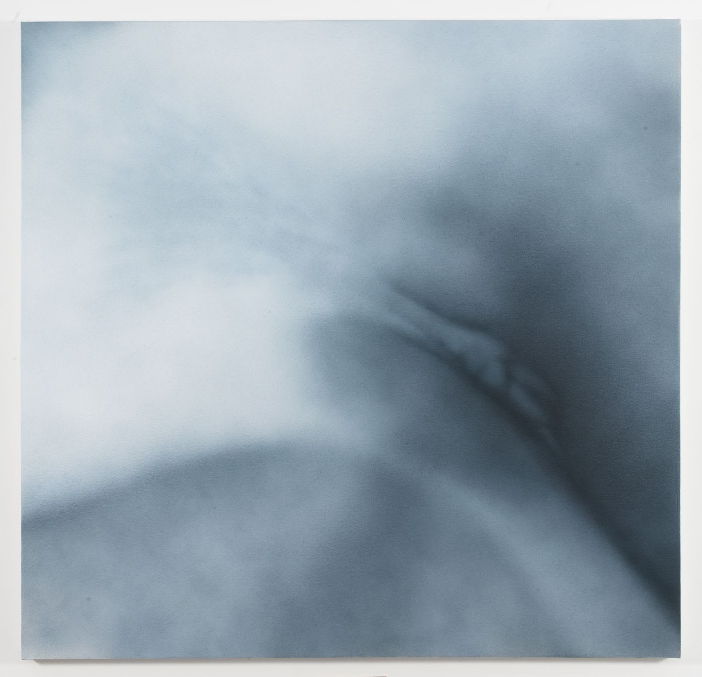 Betty Tompkins, Cunt Painting #20, 2013