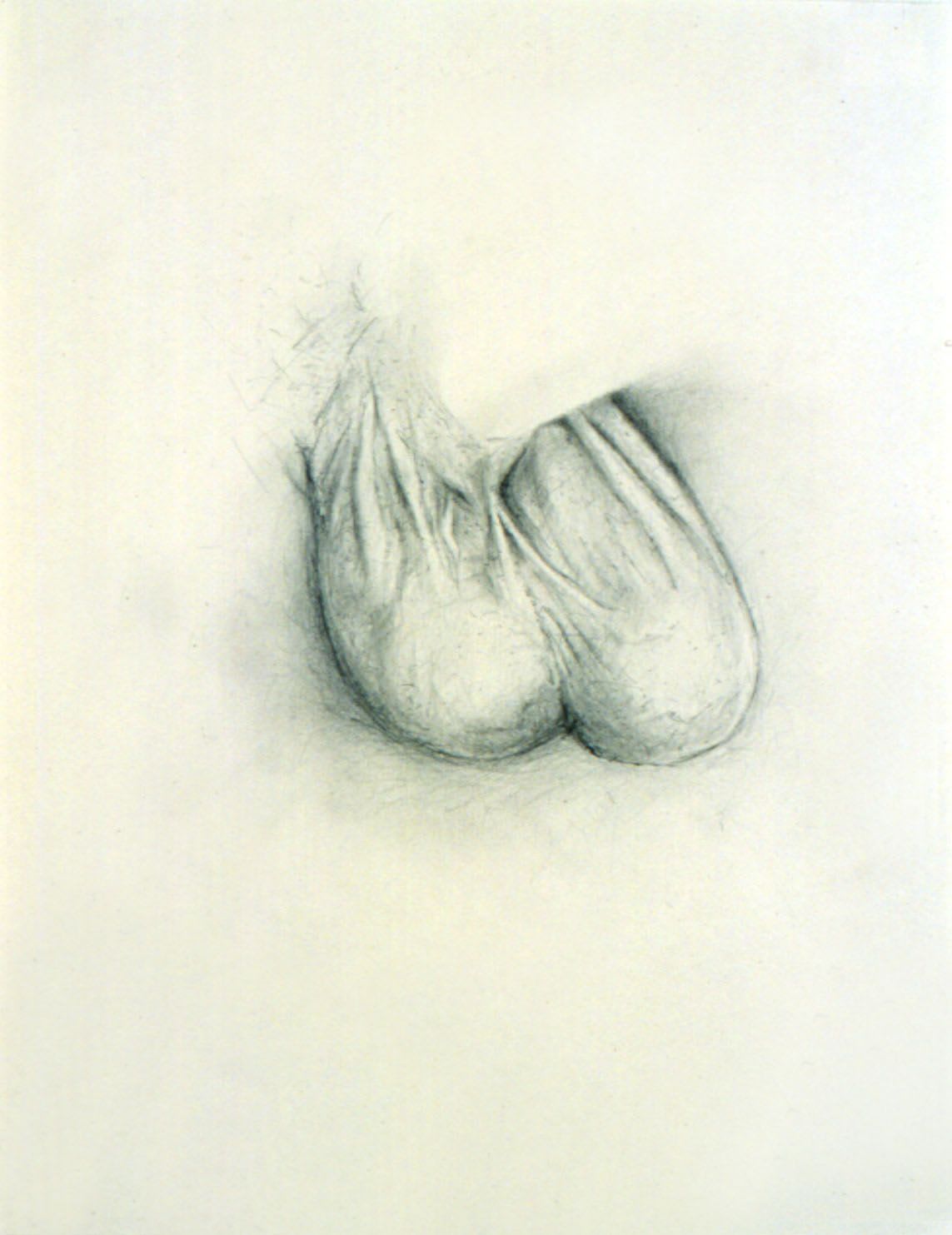 Donald Moffett, Model #3, 2001 - 2002