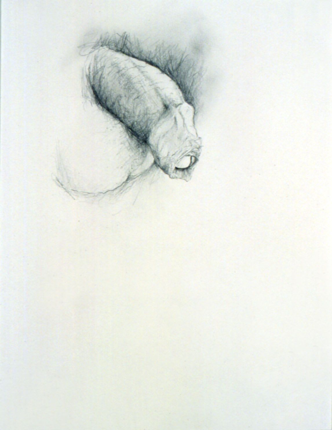 Donald Moffett, Model #2, 2002