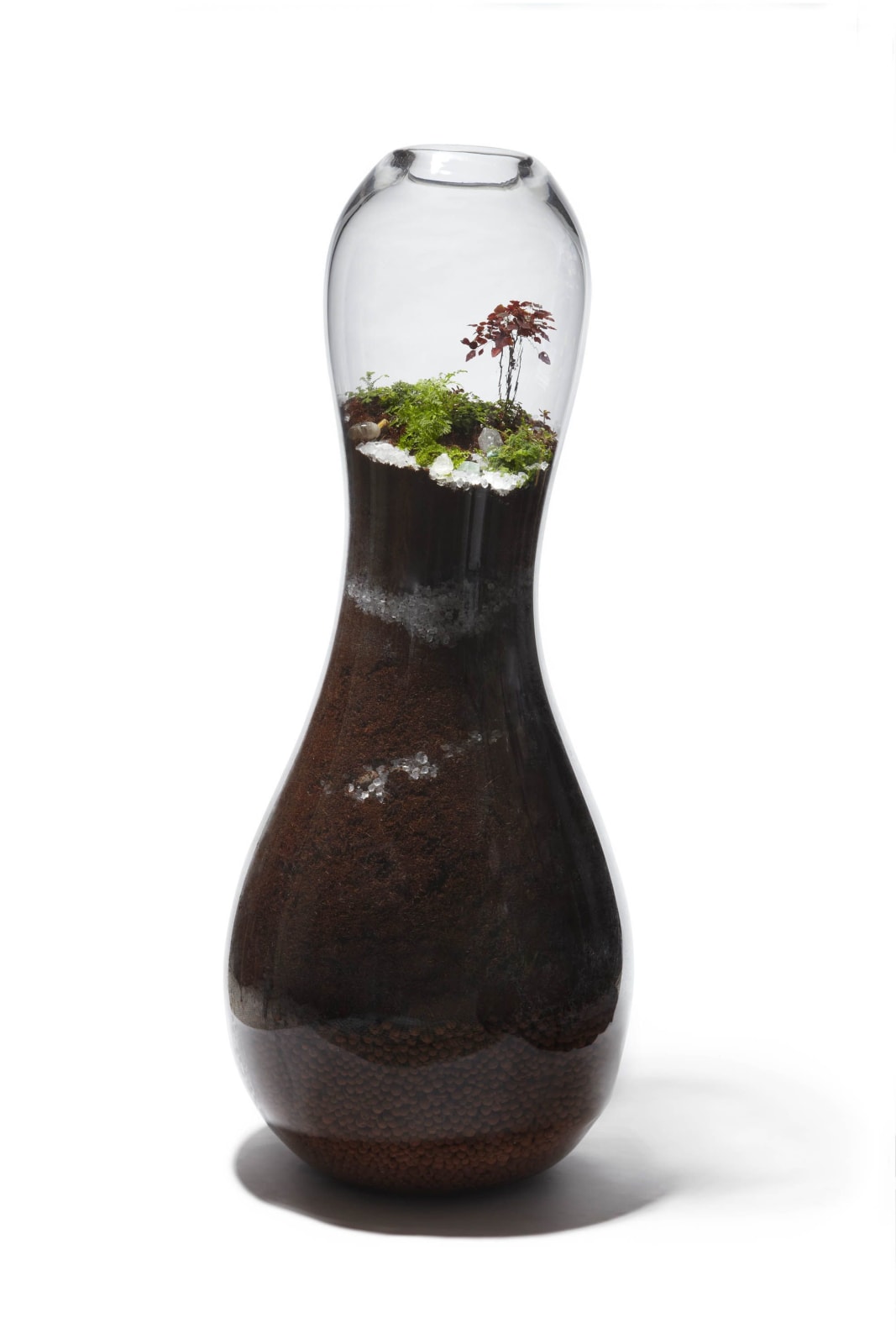 Paula Hayes, Giant Terrarium, 2009