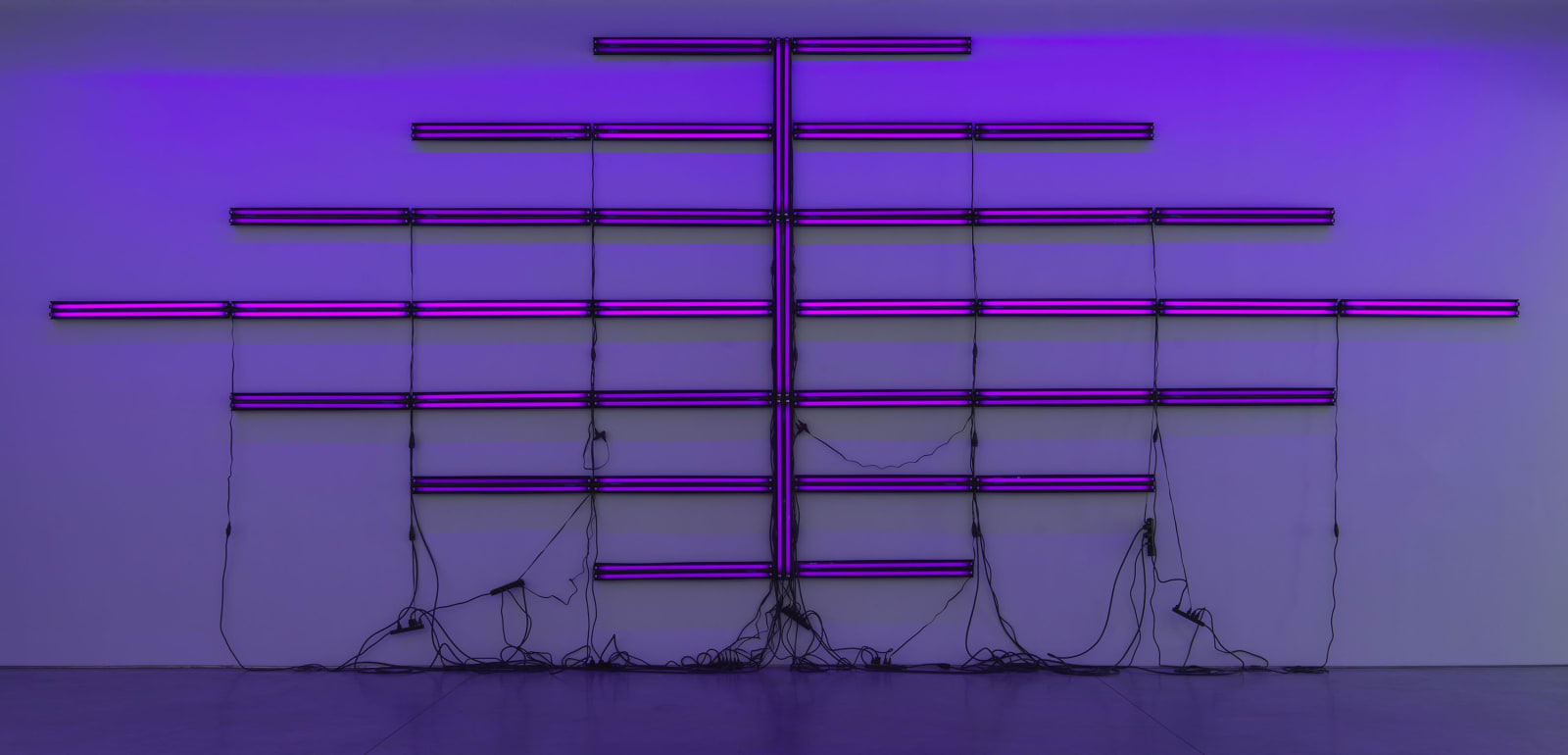 Paul Stephen Benjamin, Fourteenth Amendment, 2017