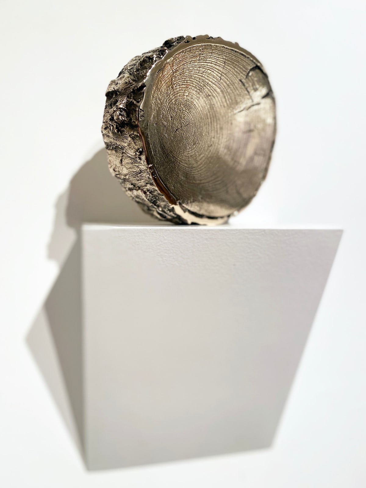 Amy Stephens, Golden Billet, 2020