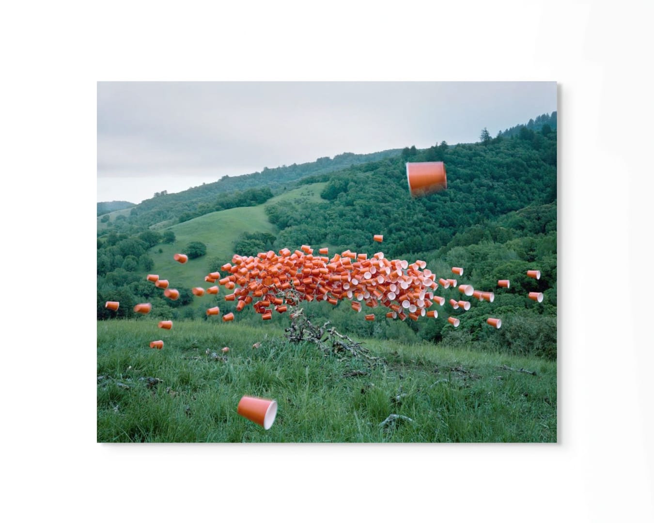 Thomas Jackson, Cups no. 3, 2014