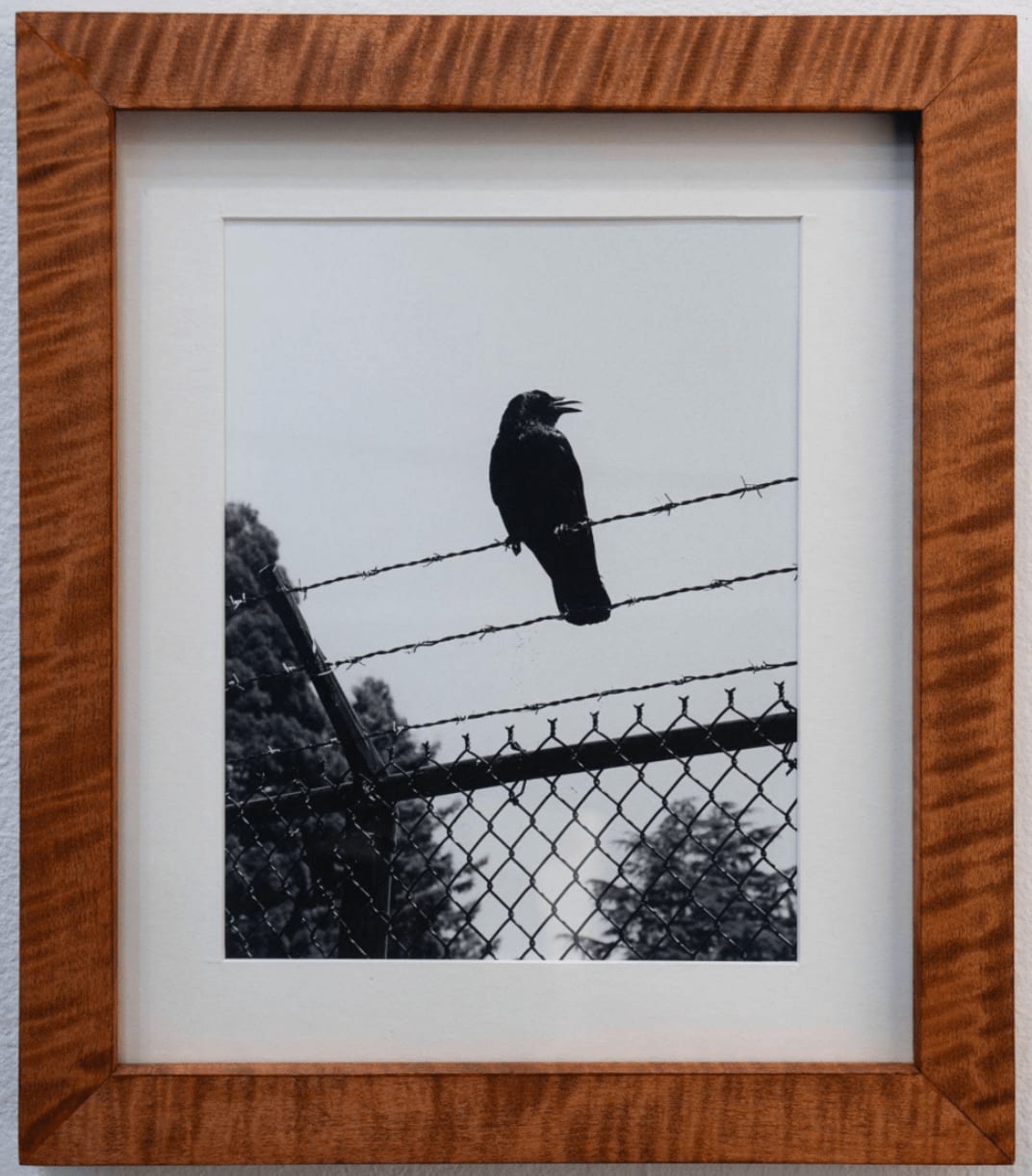 Barrett Reynolds, Crow, 2023